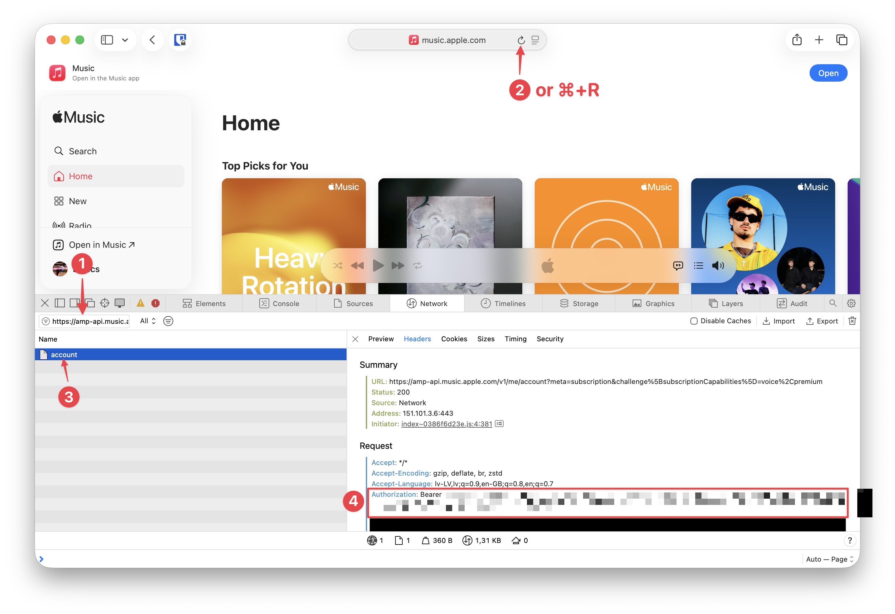 Safari Network Tab Instructions